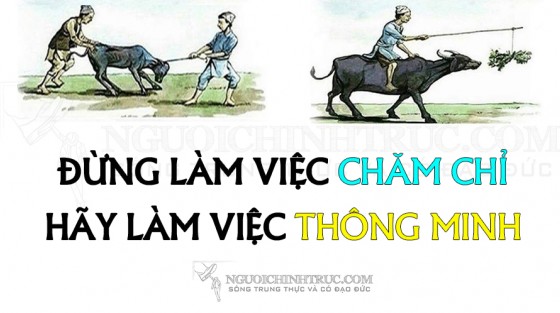 5 CÂU CHUYỆN DẠY BẠN VỀ PHƯƠNG THỨC TƯ DUY ĐỈNH CAO