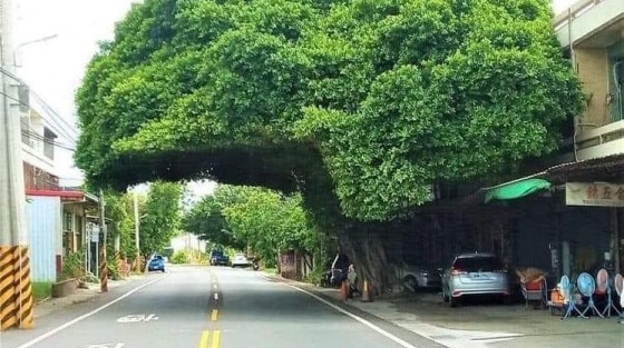 10 CÂU NÓI HAY VÀ Ý NGHĨA CỦA NGƯỜI DO THÁI LÀM BẠN THAY ĐỔI.