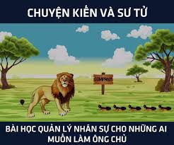 Bài học quản trị nhân sự: Kiến và Sư tử – Bộ máy đơn giản, kết quả cao nhất