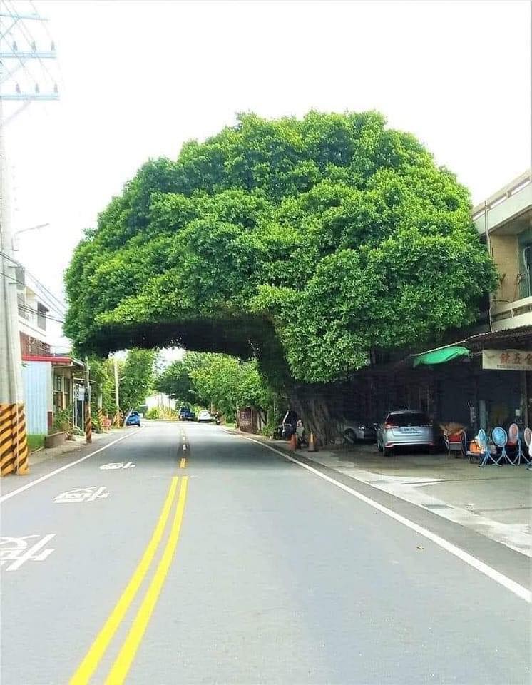 10 CÂU NÓI HAY VÀ Ý NGHĨA CỦA NGƯỜI DO THÁI LÀM BẠN THAY ĐỔI.